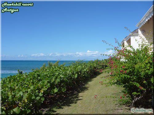 Honeymoon Cove - Chambres vue mer