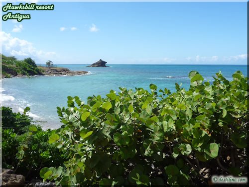 Honeymoon Cove - Chambres vue mer