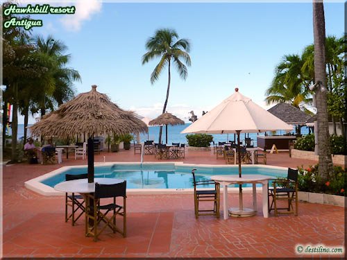 Piscine, Bar & resto grill