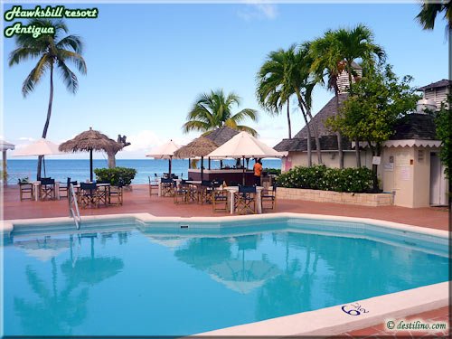 Piscine, Bar & resto grill