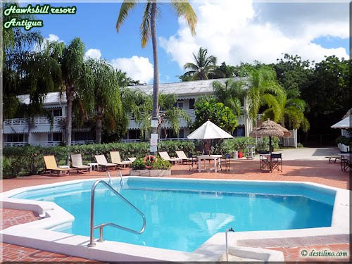 Piscine, Bar & resto grill