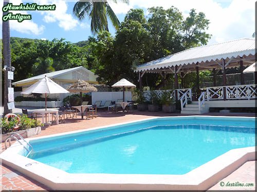 Piscine, Bar & resto grill