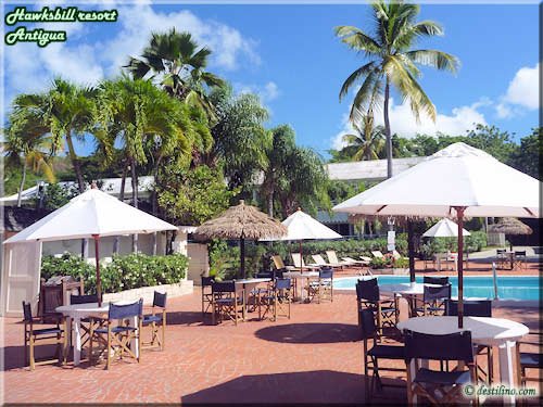 Piscine, Bar & resto grill