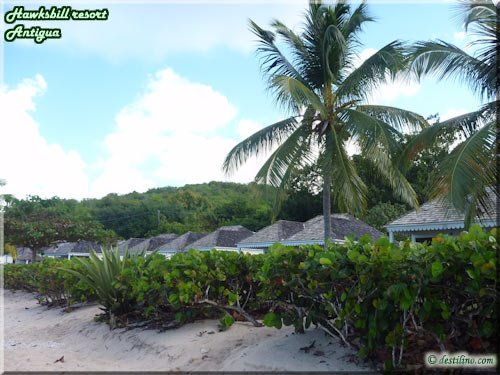 Secteur Royal Palm Beach