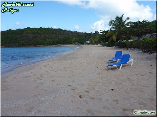 Secteur Royal Palm Beach - Chambre vue mer
