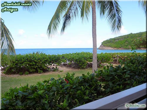 Secteur Royal Palm Beach - Chambre vue mer