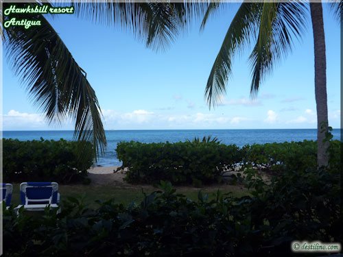 Secteur Royal Palm Beach - Chambre vue mer