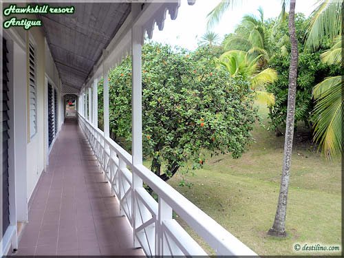 Secteur Sea Grapes - Chambre Superior vue mer