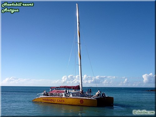 Excursion catamaran