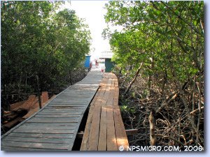 Cayo Levisa (2006)