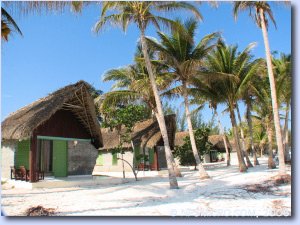 Cayo Levisa (2006)