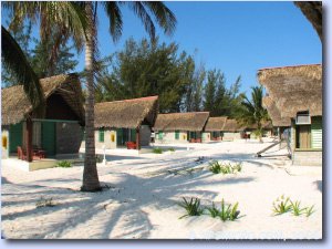 Cayo Levisa (2006)
