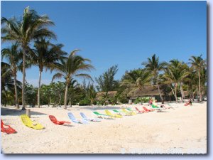 Cayo Levisa (2006)
