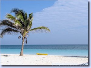Cayo Levisa (2006)