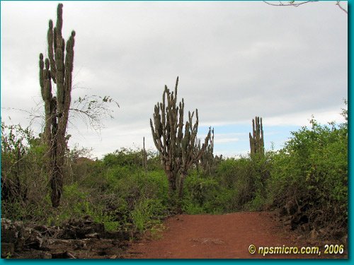 Galapagos (2006)