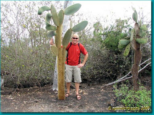 Galapagos (2006)