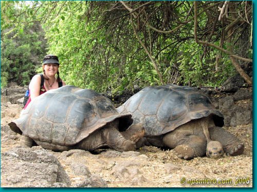 Galapagos (2006)