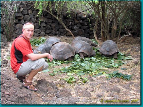 Galapagos (2006)