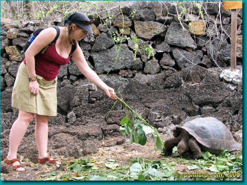 Galapagos (2006)
