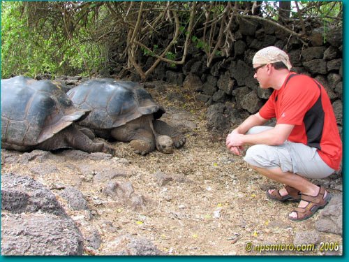 Galapagos (2006)