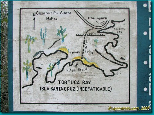 Galapagos (2006)