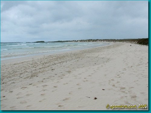 Galapagos (2006)
