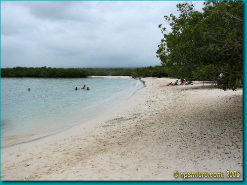 Galapagos (2006)