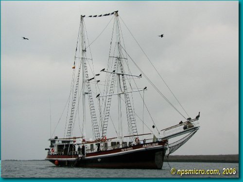 Galapagos (2006)