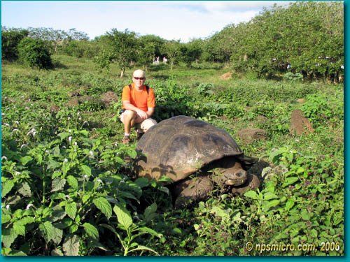 Galapagos (2006)