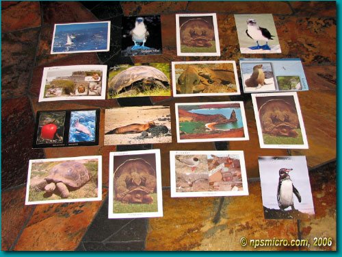 Galapagos (2006)