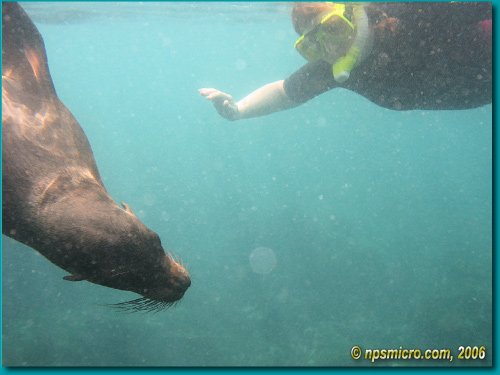 Galapagos (2006)