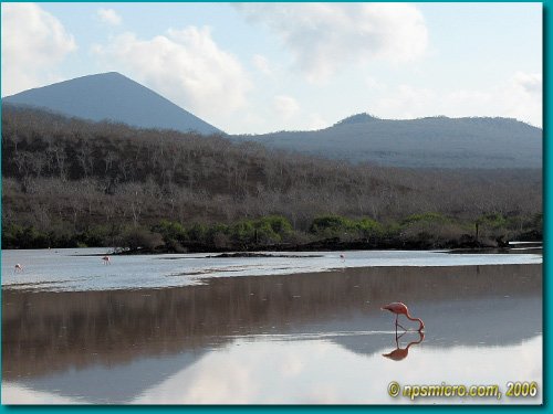 Galapagos (2006)