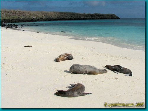 Galapagos (2006)