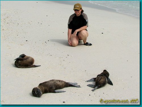 Galapagos (2006)