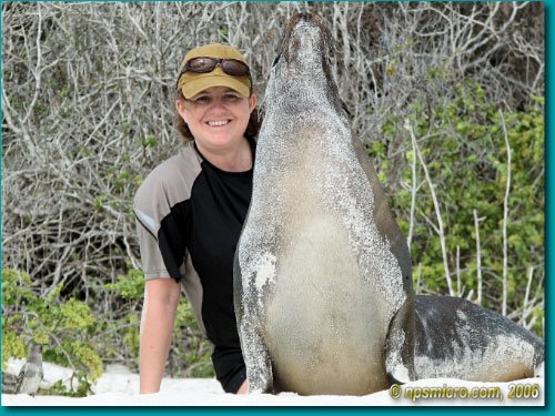 Galapagos (2006)