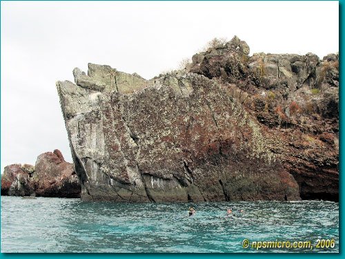 Galapagos (2006)