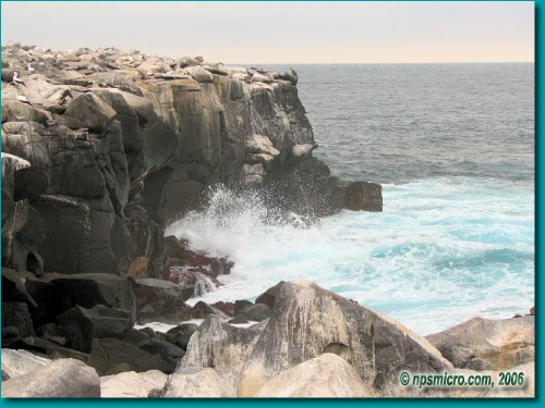 Galapagos (2006)