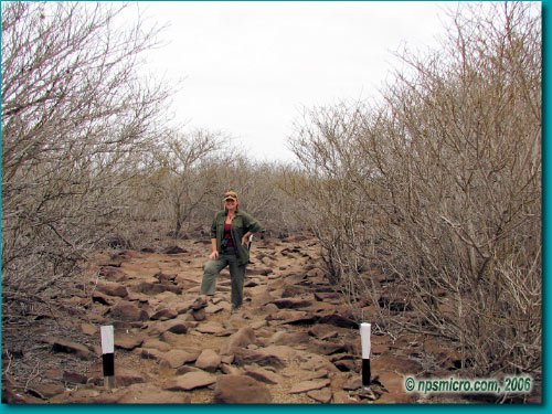 Galapagos (2006)
