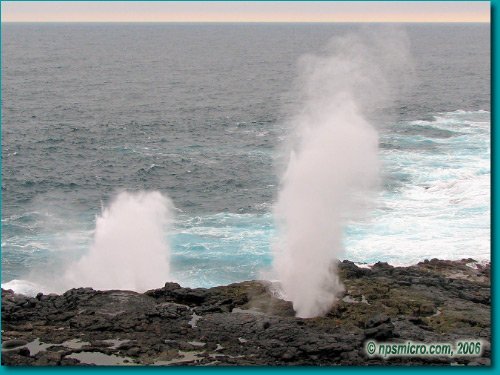 Galapagos (2006)