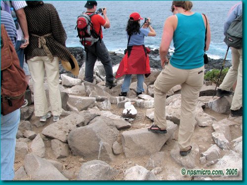Galapagos (2006)