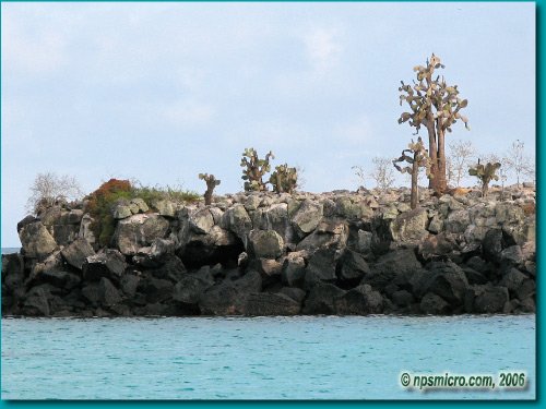 Galapagos (2006)