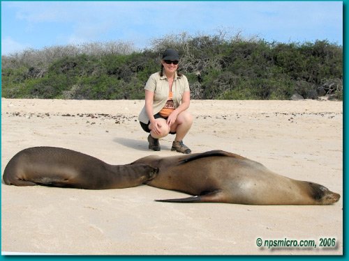 Galapagos (2006)
