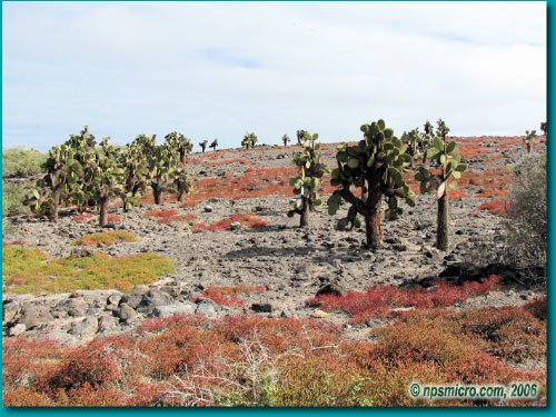 Galapagos (2006)