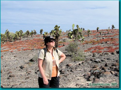 Galapagos (2006)
