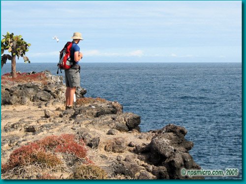 Galapagos (2006)