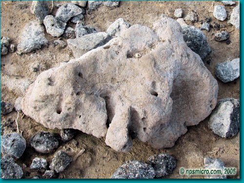 Galapagos (2006)
