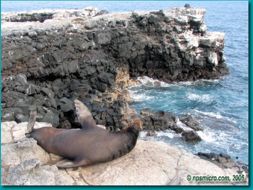 Galapagos (2006)