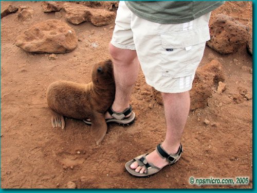 Galapagos (2006)