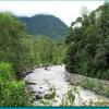 Province de Pinchincha (2006)