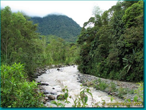 Province de Pinchincha (2006)